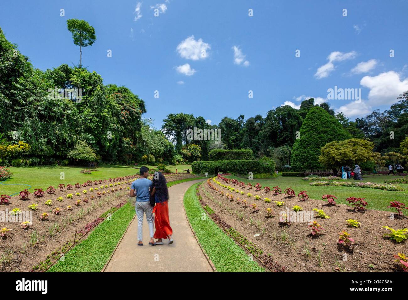 Besucher im Königlichen Botanischen Garten in Peradeniya, Kandy, Sri Lanka Stockfoto