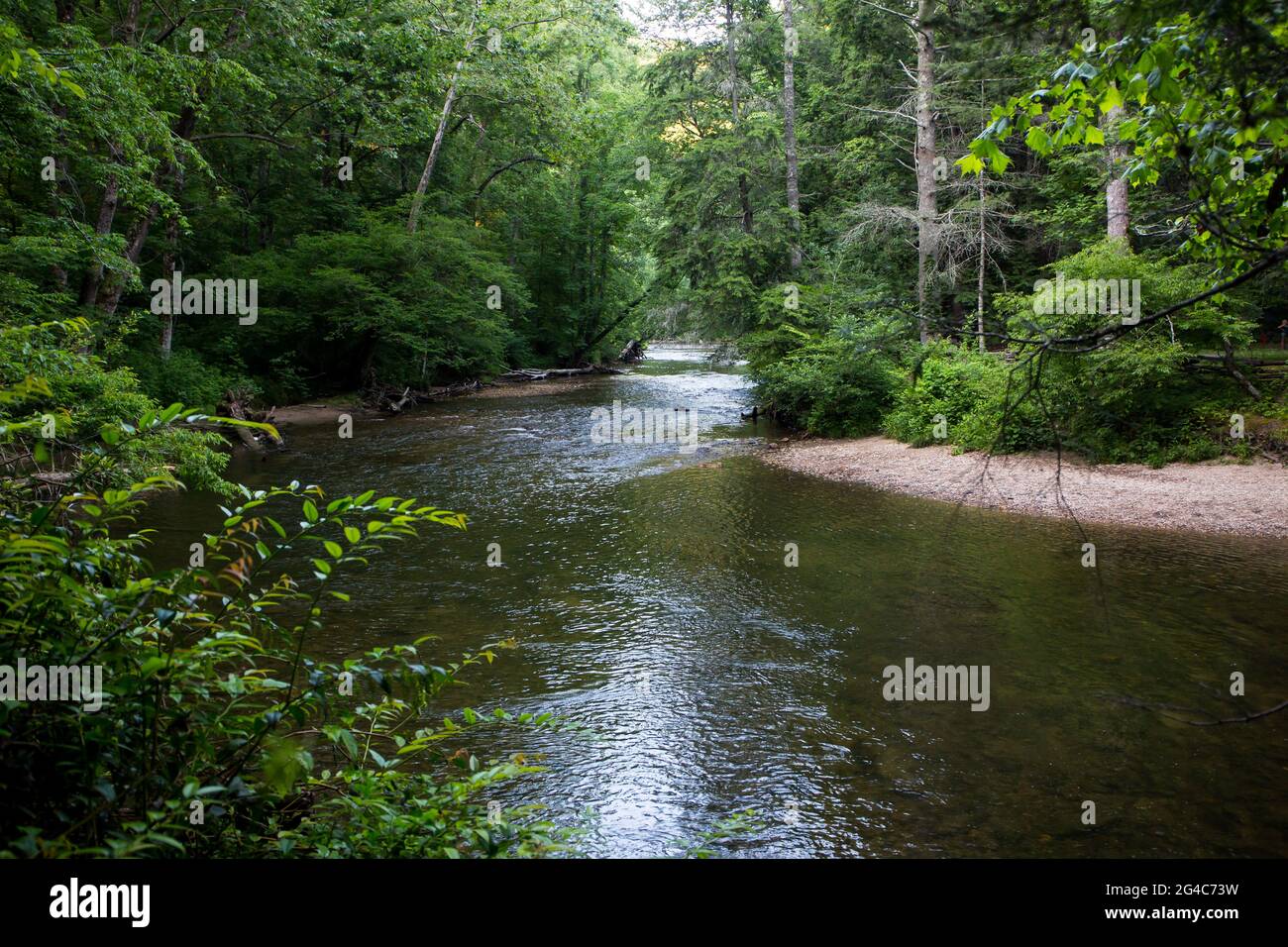 Ein Abschnitt des Davidson River in der Abenddämmerung, der in der Nähe der Stadt Brevard im Pisgah National Forest von North Carolina fließt. Stockfoto