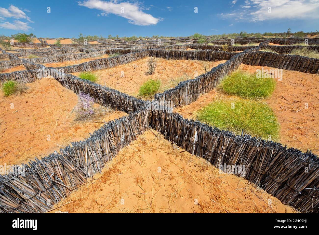 Quadratische Strukturen gebaut, um den Sand in der Kyzylkum-Wüste, Usbekistan, zu halten und zu stoppen Stockfoto