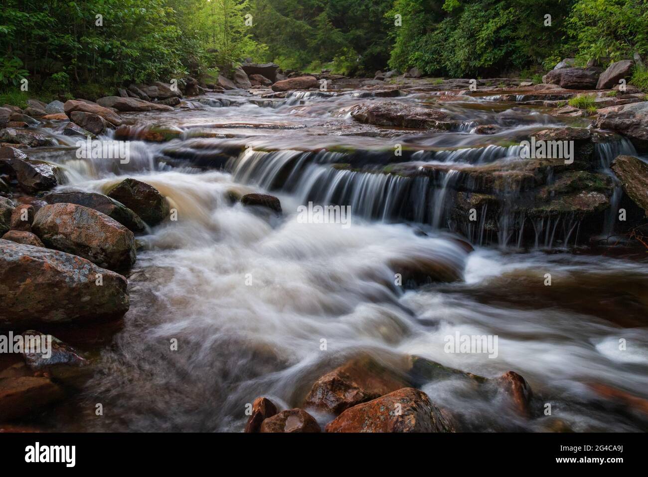 Das wunderschöne rauschende Wasser von Red Creek in Dolly Sods, West Virginia Stockfoto