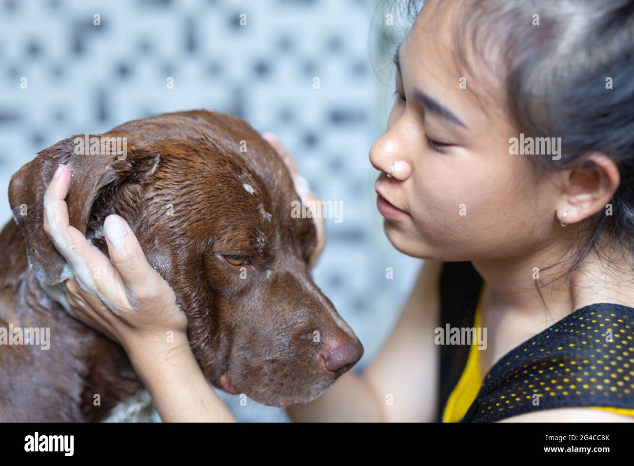 Junge Frau, die mit ihrem Lieblingshund, dem Konzept des Welthundes Love Day, ein Bad nimmt. Stockfoto
