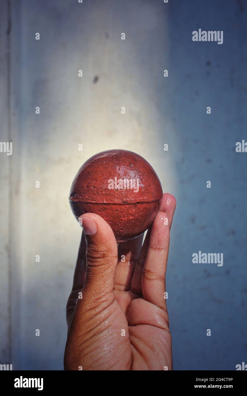 Cricket Ball zur Hand Stockfoto