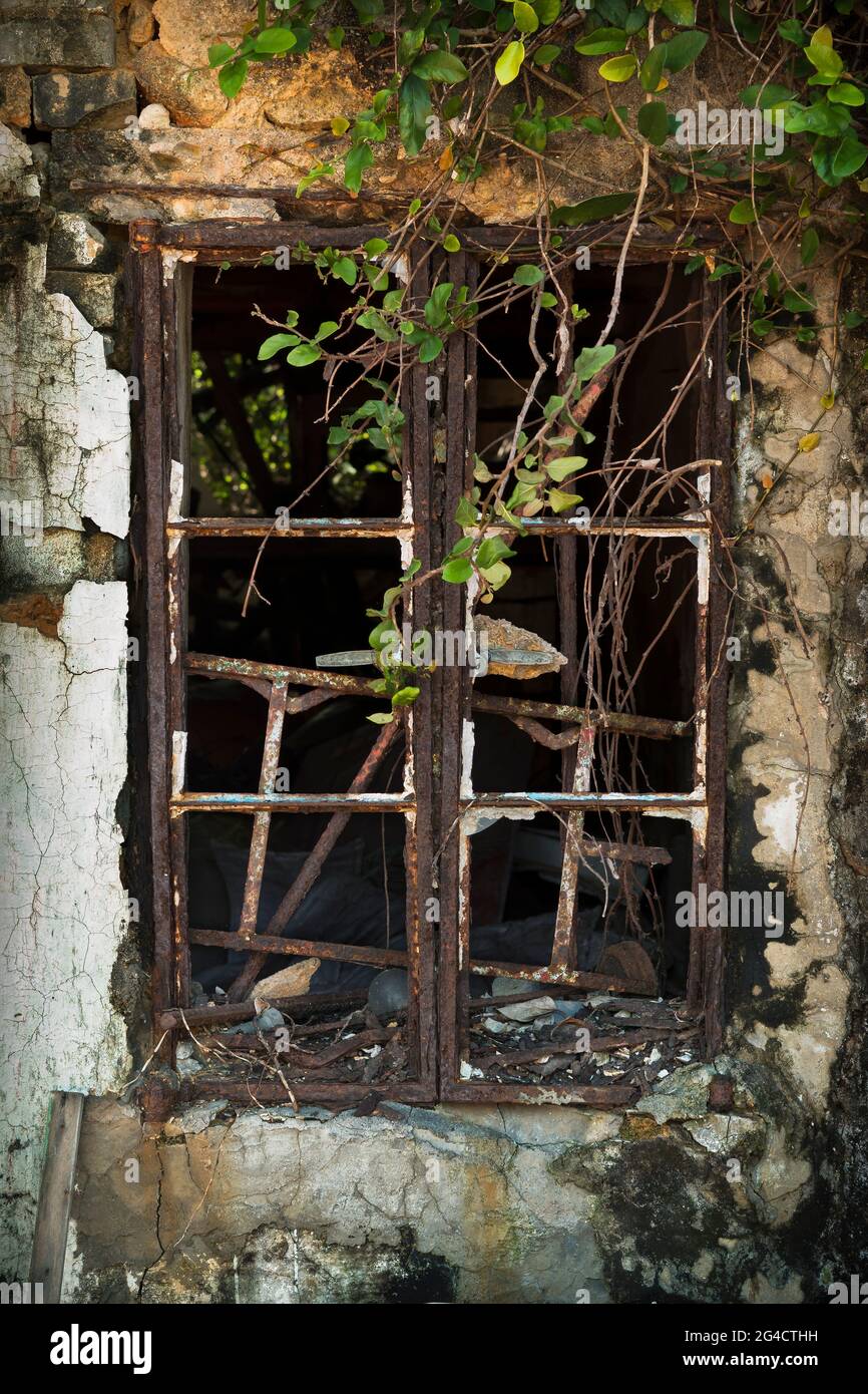 Das Fenster eines verlassenen Dorfhauses auf Tap Mun (Grass Island), New Territories, Hongkong Stockfoto