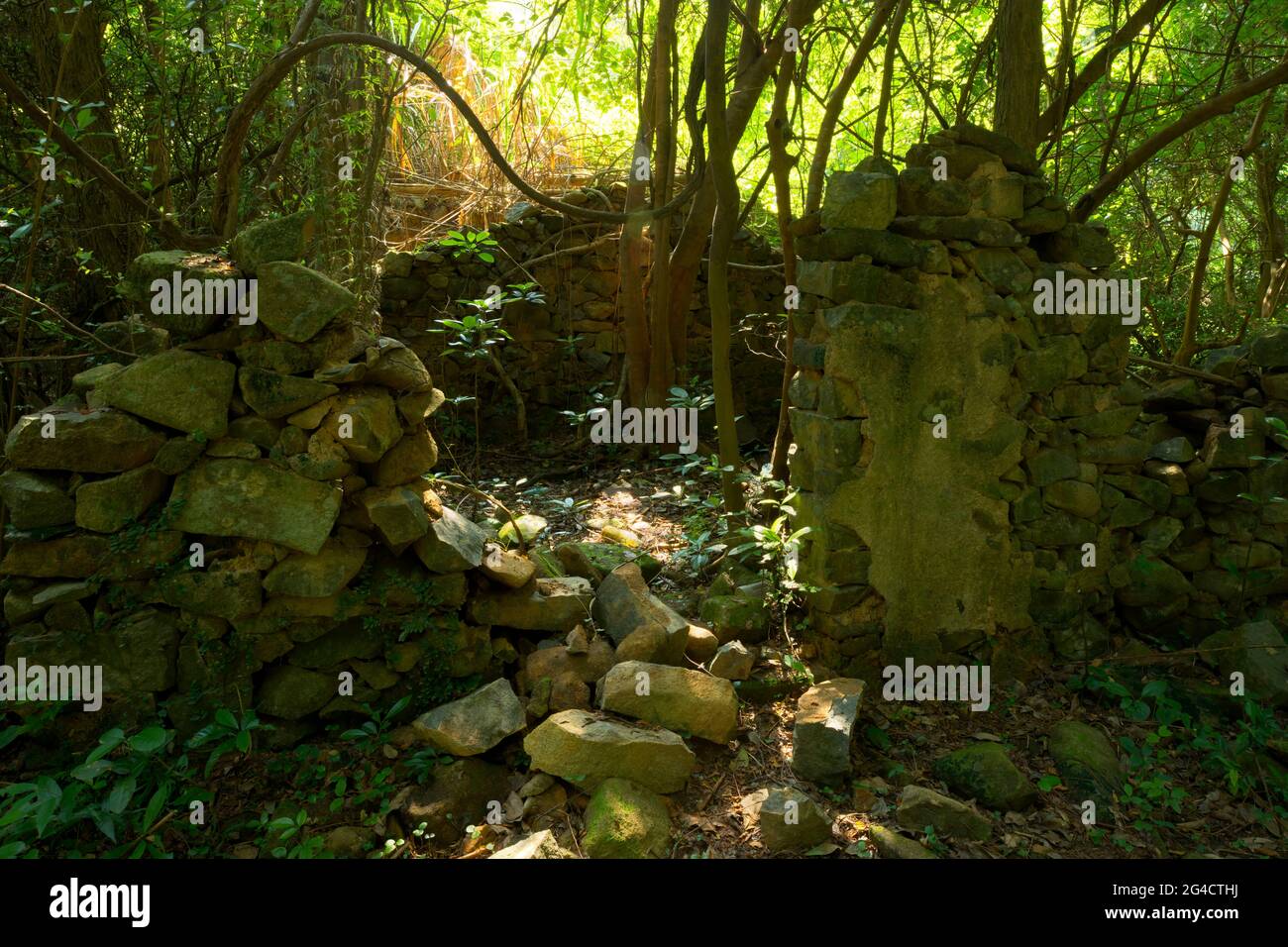 Die Ruinen eines verlassenen Dorfhauses auf Tap Mun (Grass Island), New Territories, Hongkong Stockfoto