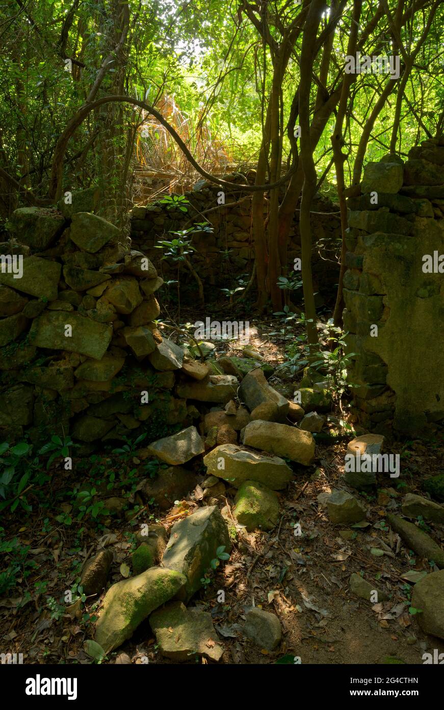 Die Ruinen eines verlassenen Dorfhauses auf Tap Mun (Grass Island), New Territories, Hongkong Stockfoto