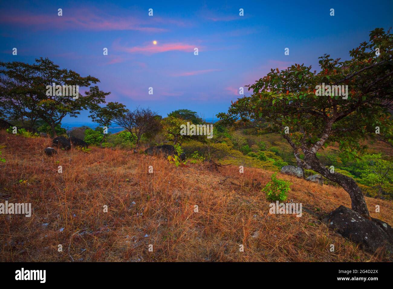 Panamalandschaft mit Abendlicht, farbenfrohem Himmel und aufsteigendem Mond in der hügeligen Landschaft bei Ola in der Provinz Cocle, Republik Panama Stockfoto