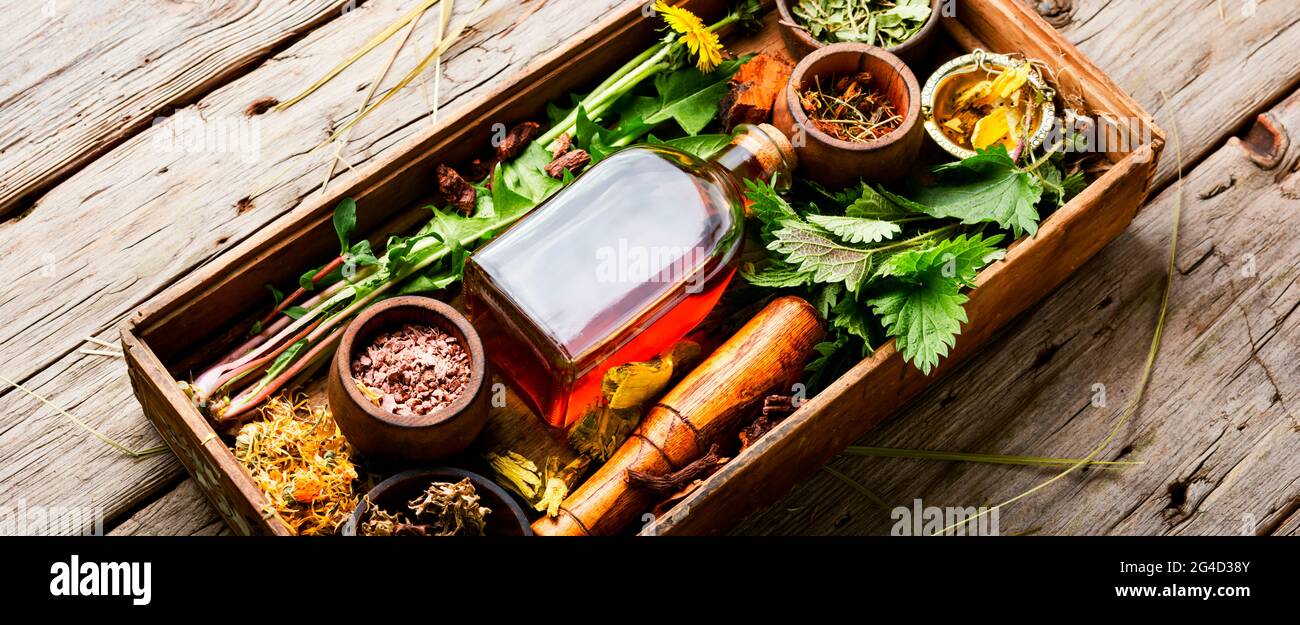 Frische und trockene Heilkräuter und Heilpflanzen.Kräutermedizin, Homöopathie Stockfoto