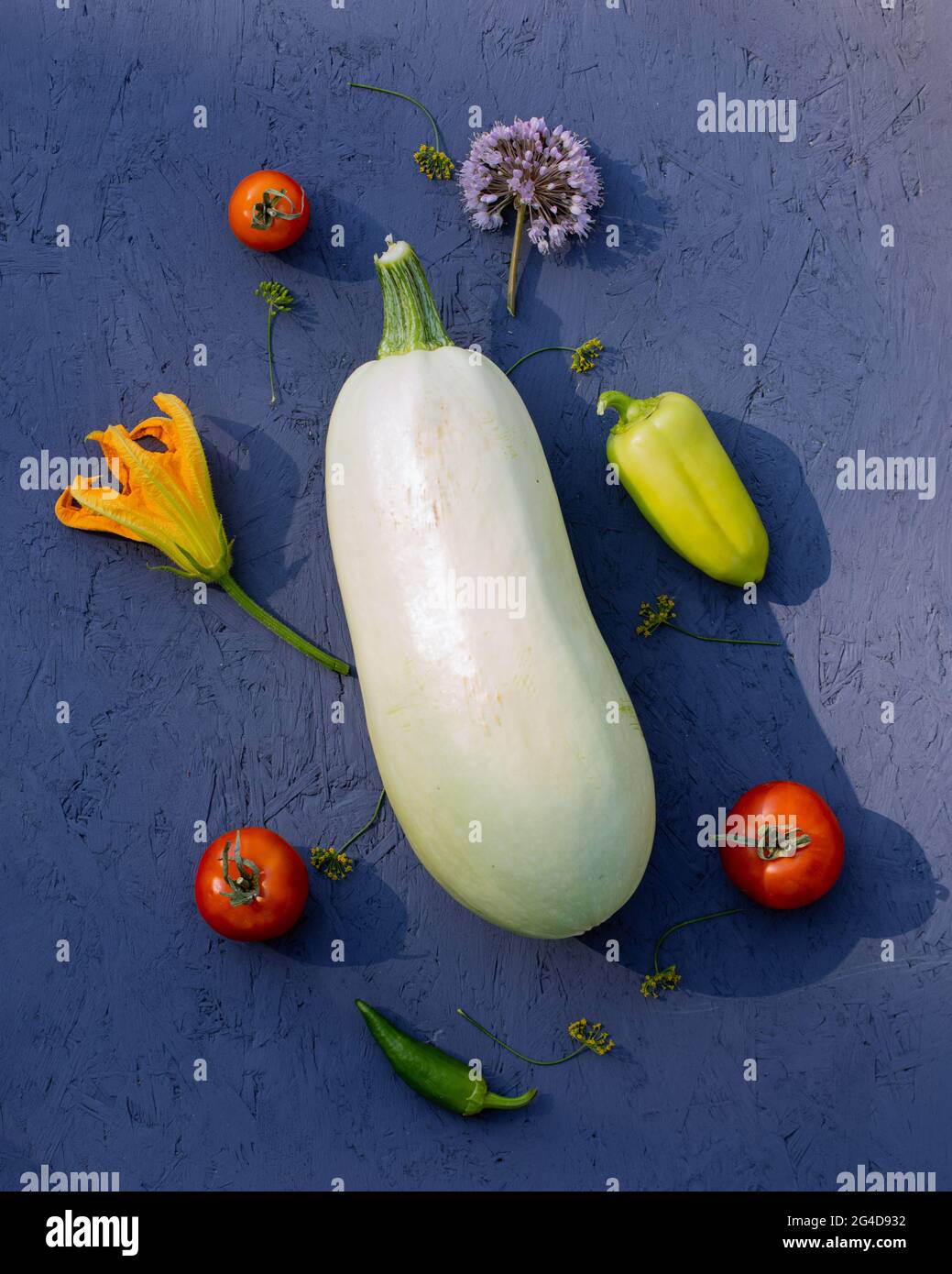 Um große weiße Auberginen herum befinden sich kleine Gemüse blaue Auberginen Tomaten grüne Paprika und Knoblauchblüten auf blauem rohem Tisch. Lebensmittel Garten Gemüse Bac Stockfoto