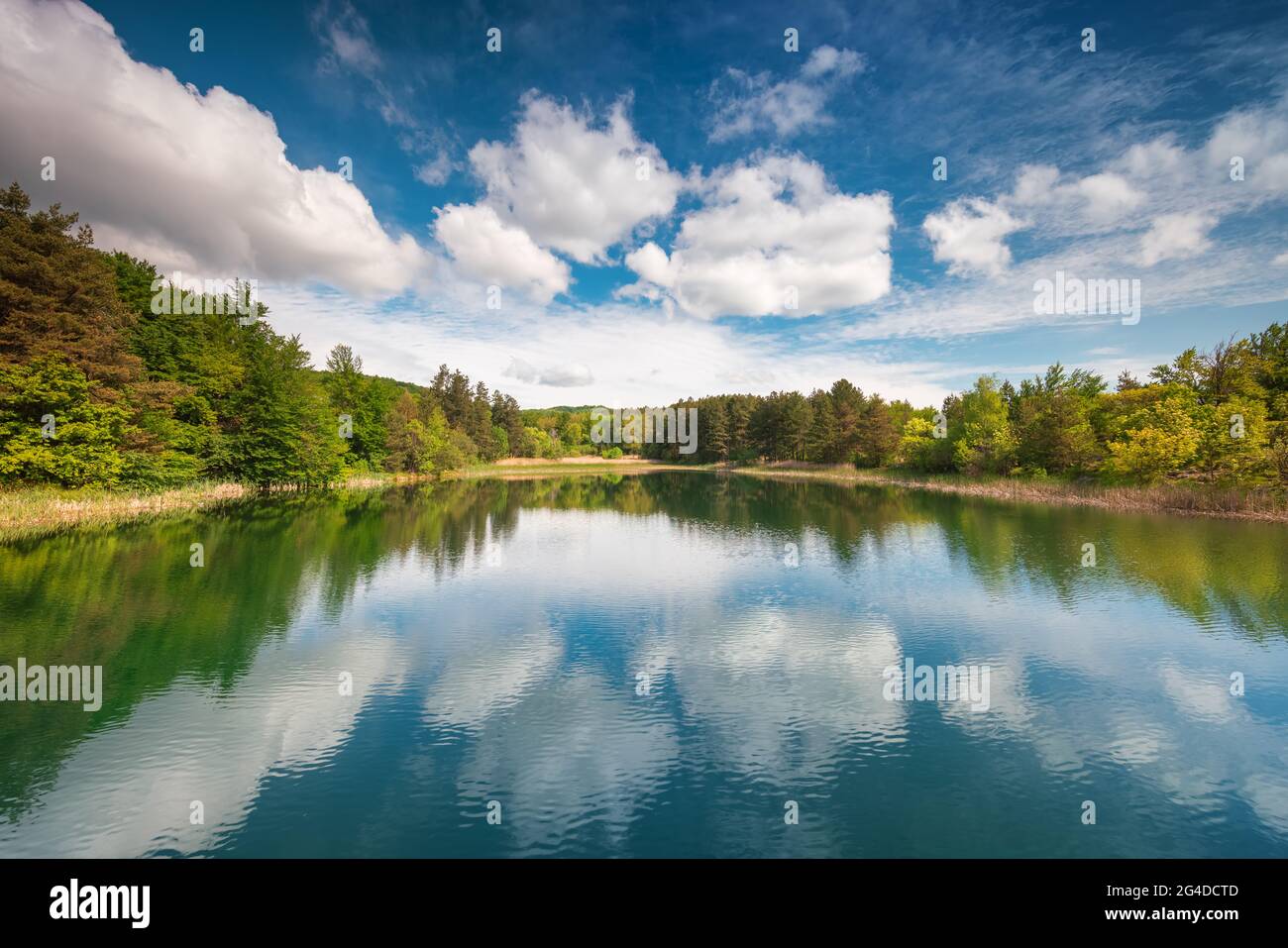 Panoramablick auf den See. Stockfoto