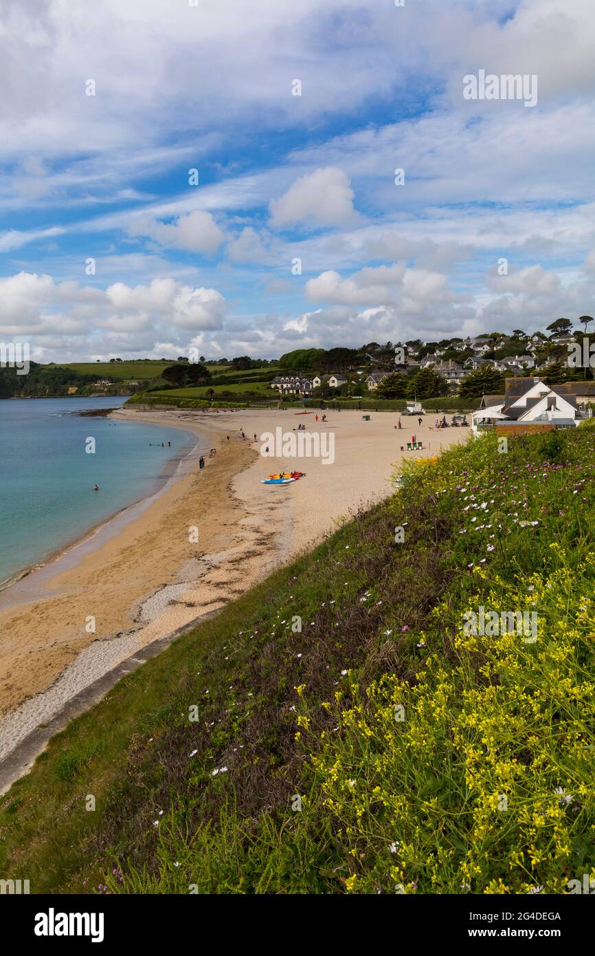 Gyllyngvase Beach, Falmouth, Cornwall, Großbritannien im Juni Stockfoto