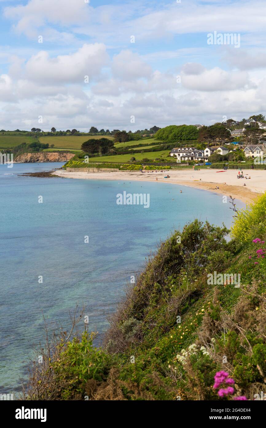 Gyllyngvase Beach, Falmouth, Cornwall, Großbritannien im Juni Stockfoto