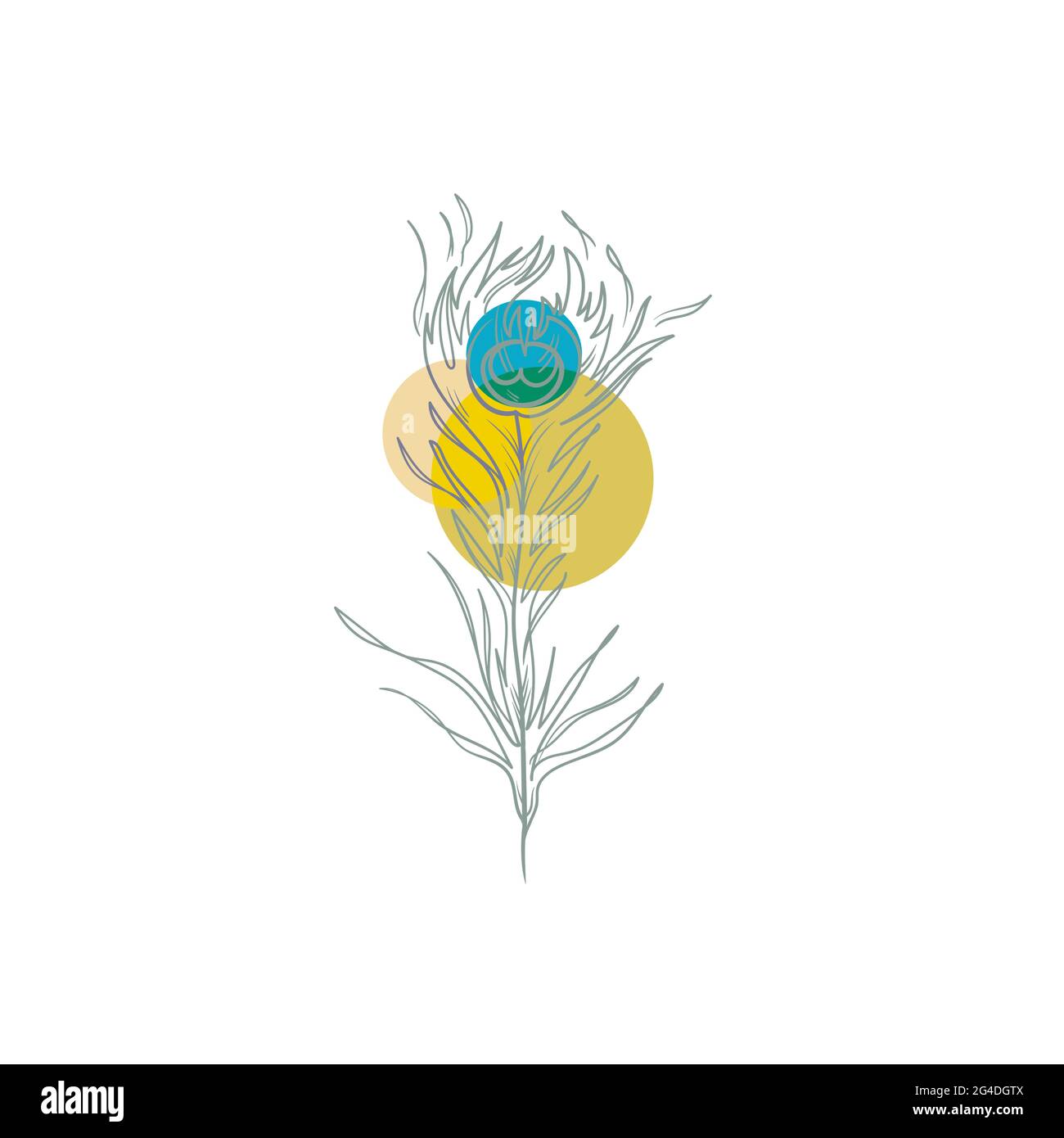 Abstrakt Linear Pfau Feder.Pavonine Feder Pfau Vogel handgezeichnete Designer-Elemente.Stock Vektor-Illustration isoliert auf weißem Hintergrund Stock Vektor