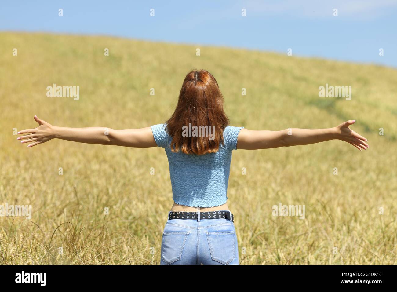 Rückansicht Porträt einer Frau, die die Arme in einem Weizenfeld ausstreckt Stockfoto