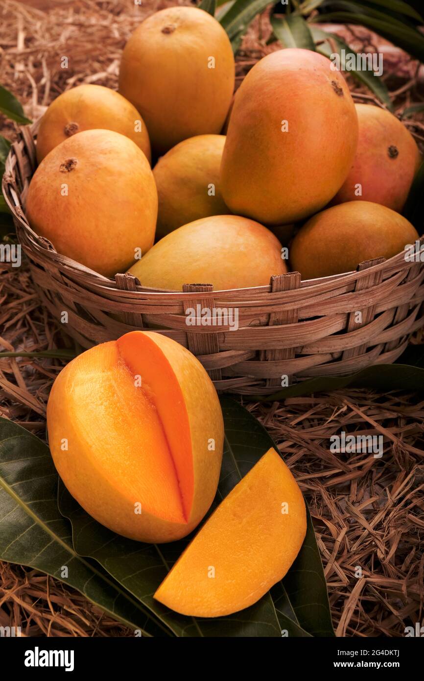 Indische Alphonso Mangofrüchte im Gras Nahaufnahme Stockfoto