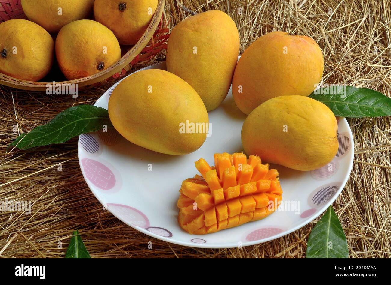 Indische Alphonso Mangofrüchte im Gras Nahaufnahme Stockfoto