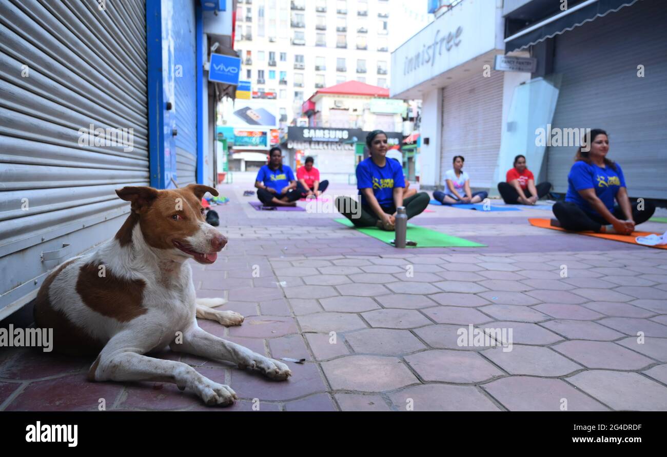 Jugendliche machen Yoga am Internationalen Yogatag auf dem gallerie Market. Gurugram, haryana, indien. 21. juni 2021. Stockfoto