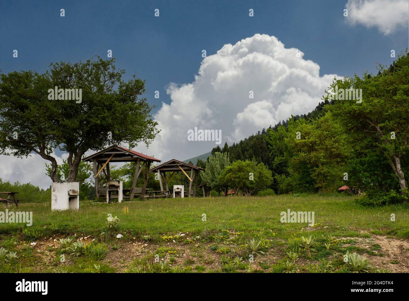 Bolu, am Abant Lake, Picknicktische auf der Wiese und ein herrlicher Waldblick dahinter Stockfoto