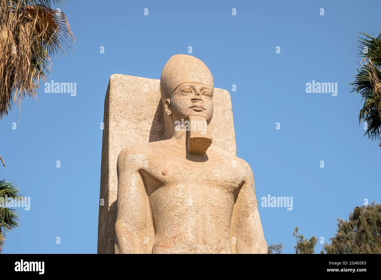 Statue des Pharao Ramses II. In Memphis, Ägypten. Das Denkmal des alten ägyptischen pharao im Freien vor dem Hintergrund der grünen Palmen in t Stockfoto