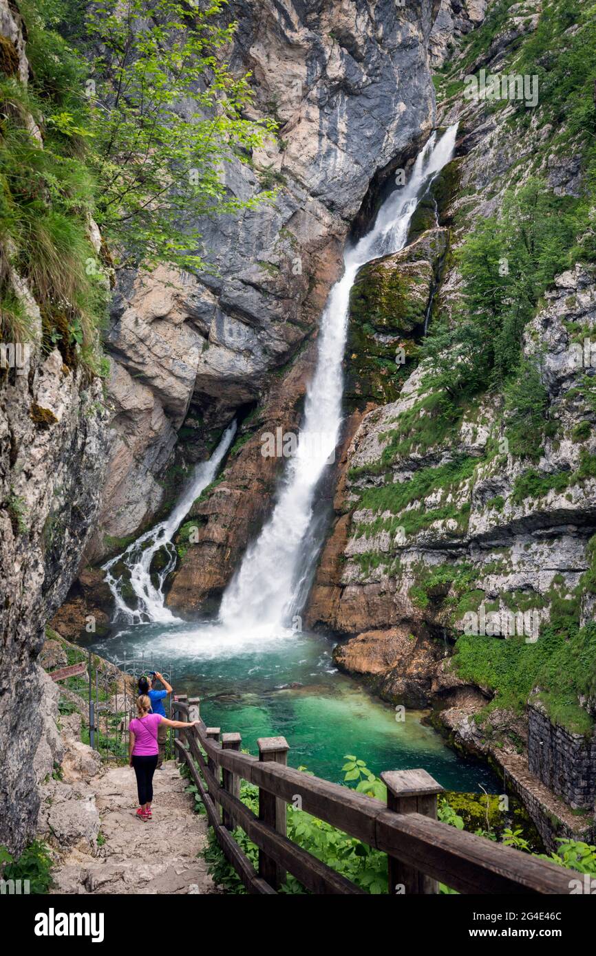 Nationalpark Triglav, Sloweniens.  Savica-Wasserfall in Bohinj See eingespeist. Stockfoto