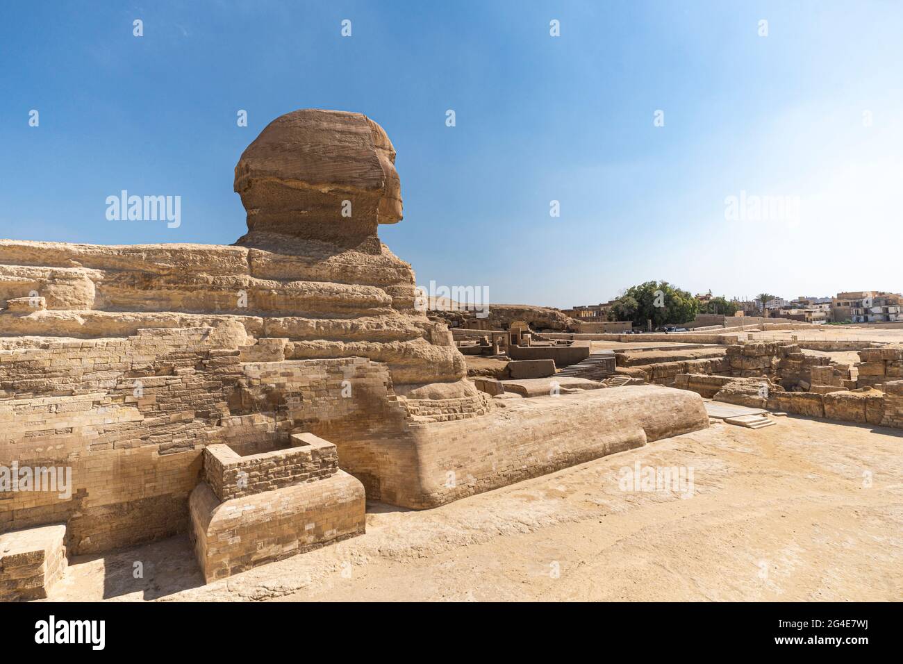Sphinx Ägypten Porträt. Porträt der Großen Sphinx von Ägypten schließen. Ägypten, Gizeh. Seitenansicht, Rückansicht. Die Sphinx blickt auf die moderne Stadt Kairo. E Stockfoto
