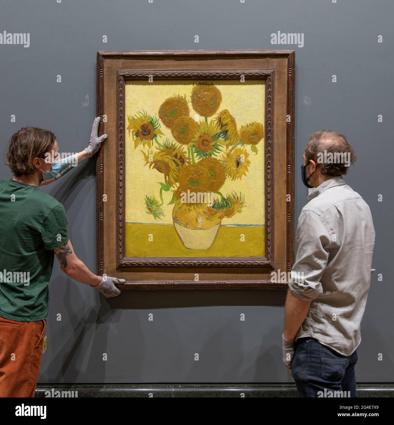 The National Gallery, London, Großbritannien. 21. Juni 2021. Kunsthändler der National Gallery hängen die Vincent van Gogh Sonnenblumen, gemalt 1888, am frühen Montagmorgen, dem 21. Juni, der Sommersonnenwende, vor der Eröffnung der Galerie. Das Van Gogh-Meisterwerk ist nach einer 16-monatigen Welttournee nach Japan und Australien in die Galerie gekommen. Quelle: Malcolm Park/Alamy Live News. Stockfoto