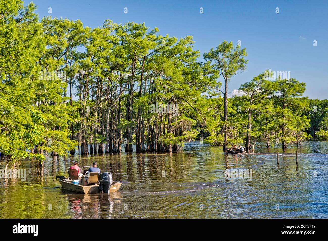 Boote, kahle Zypressen im Frühling, Potter's Point am Caddo Lake, Piney Woods Region, Texas, USA Stockfoto