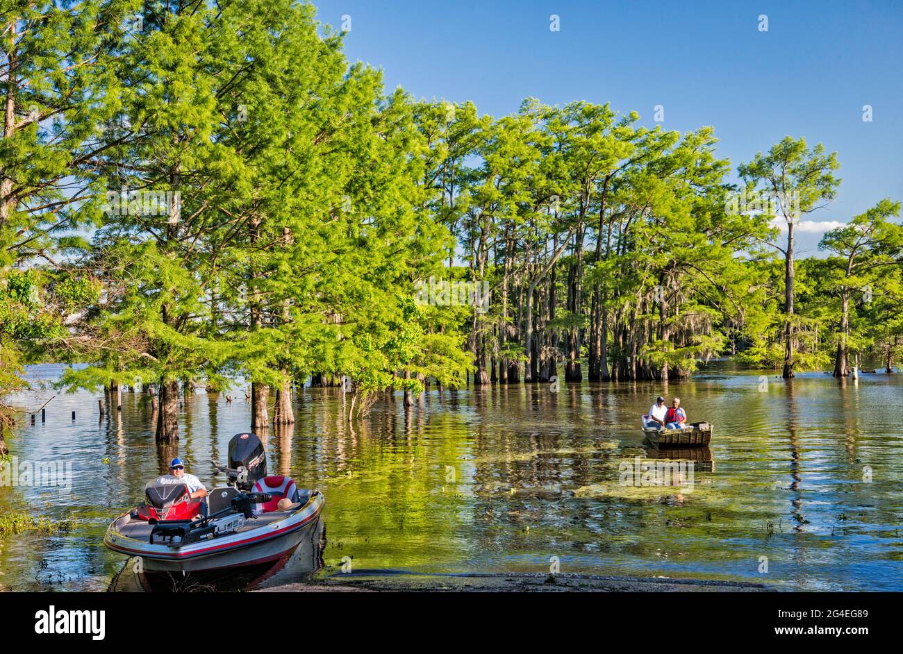 Boote, kahle Zypressen im Frühling, Potter's Point am Caddo Lake, Piney Woods Region, Texas, USA Stockfoto