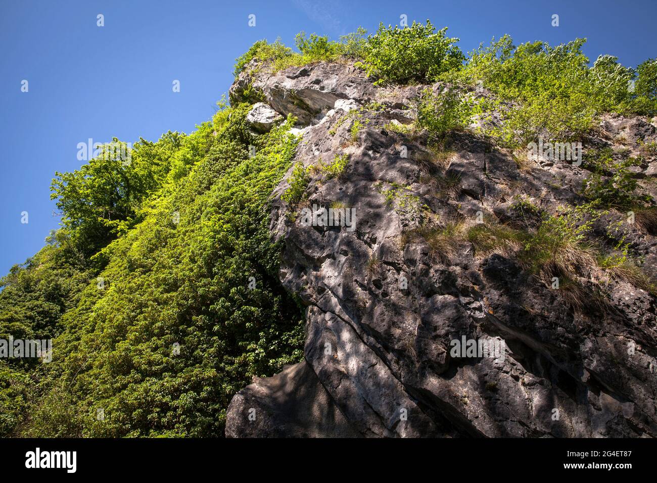 Felsen im Hoenne-Tal zwischen Hemer und Balve, Sauerland, Nordrhein-Westfalen, Deutschland. Felsen im Hoennetal zwischen Hemer und Balve, S. Stockfoto
