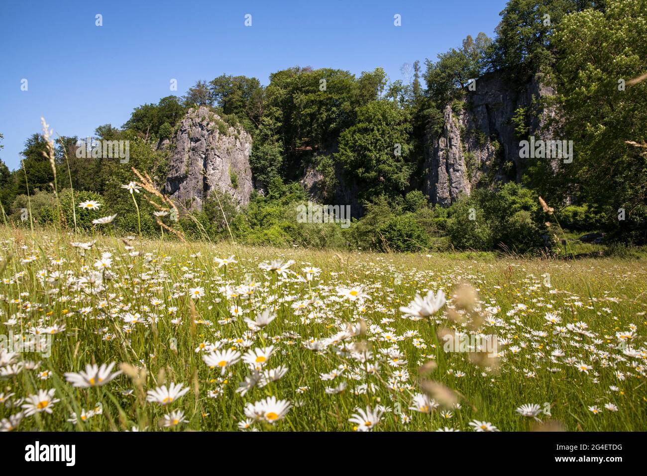 Die Felsformation Seven Virgins (Teilansicht) im Henne-Tal zwischen Hemer und Balve, Sauerland, Nordrhein-Westfalen, Deutschland. Sterben Stockfoto
