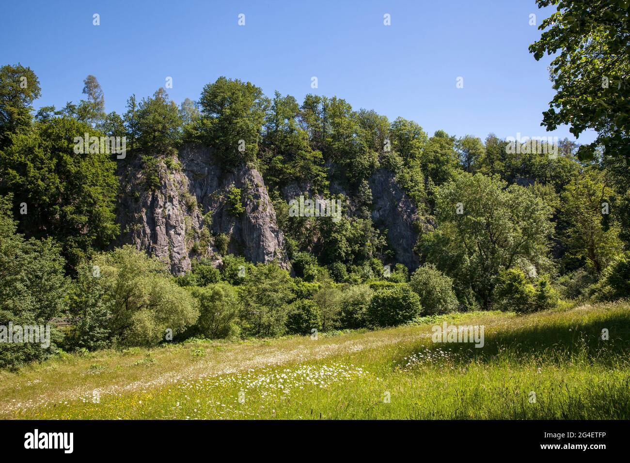 Die Felsformation Seven Virgins (Teilansicht) im Henne-Tal zwischen Hemer und Balve, Sauerland, Nordrhein-Westfalen, Deutschland. Sterben Stockfoto