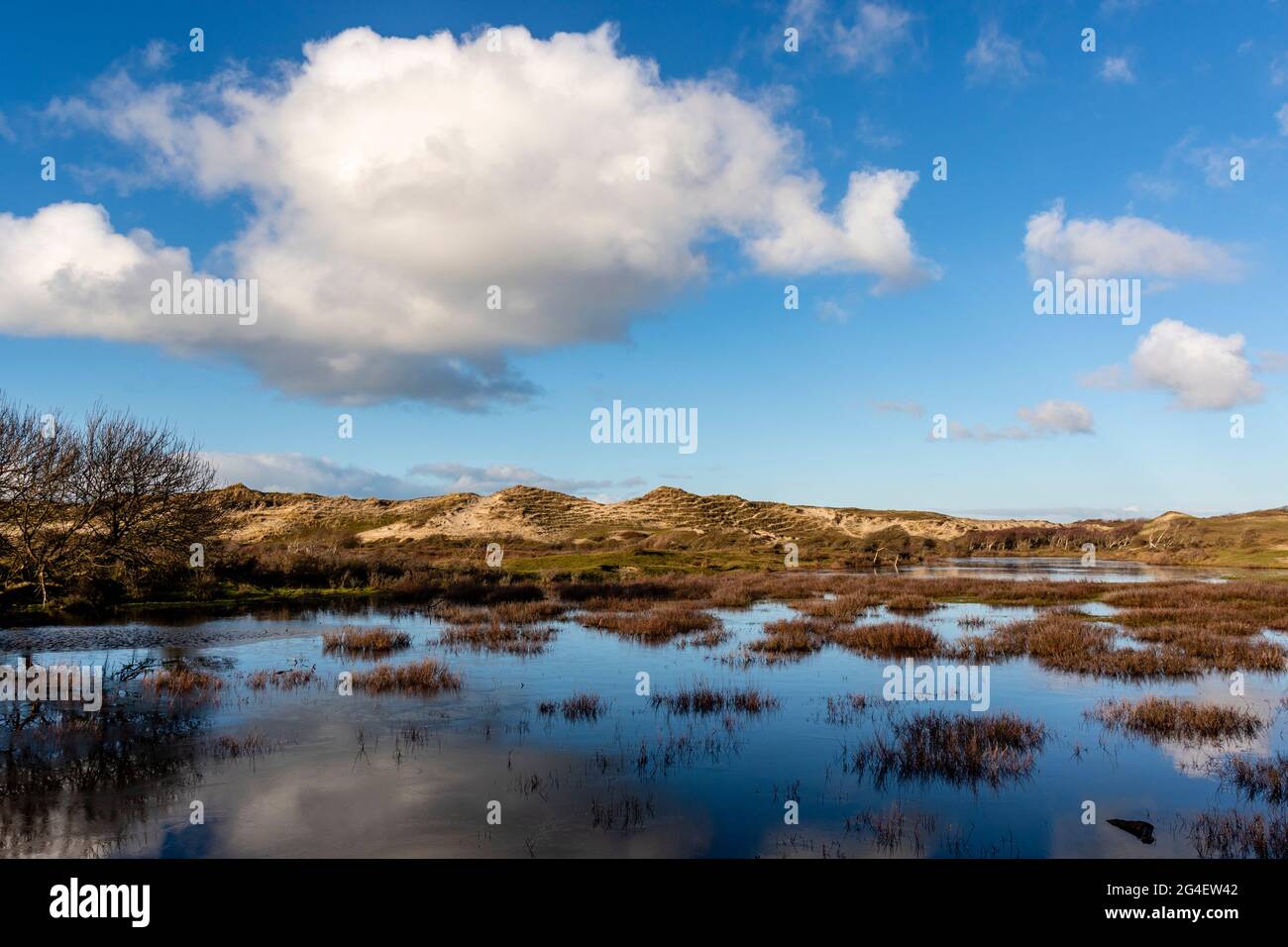 Dünenlandschaft in Bergen aan Zee, Noord-Holland, Niederlande, Europa Stockfoto