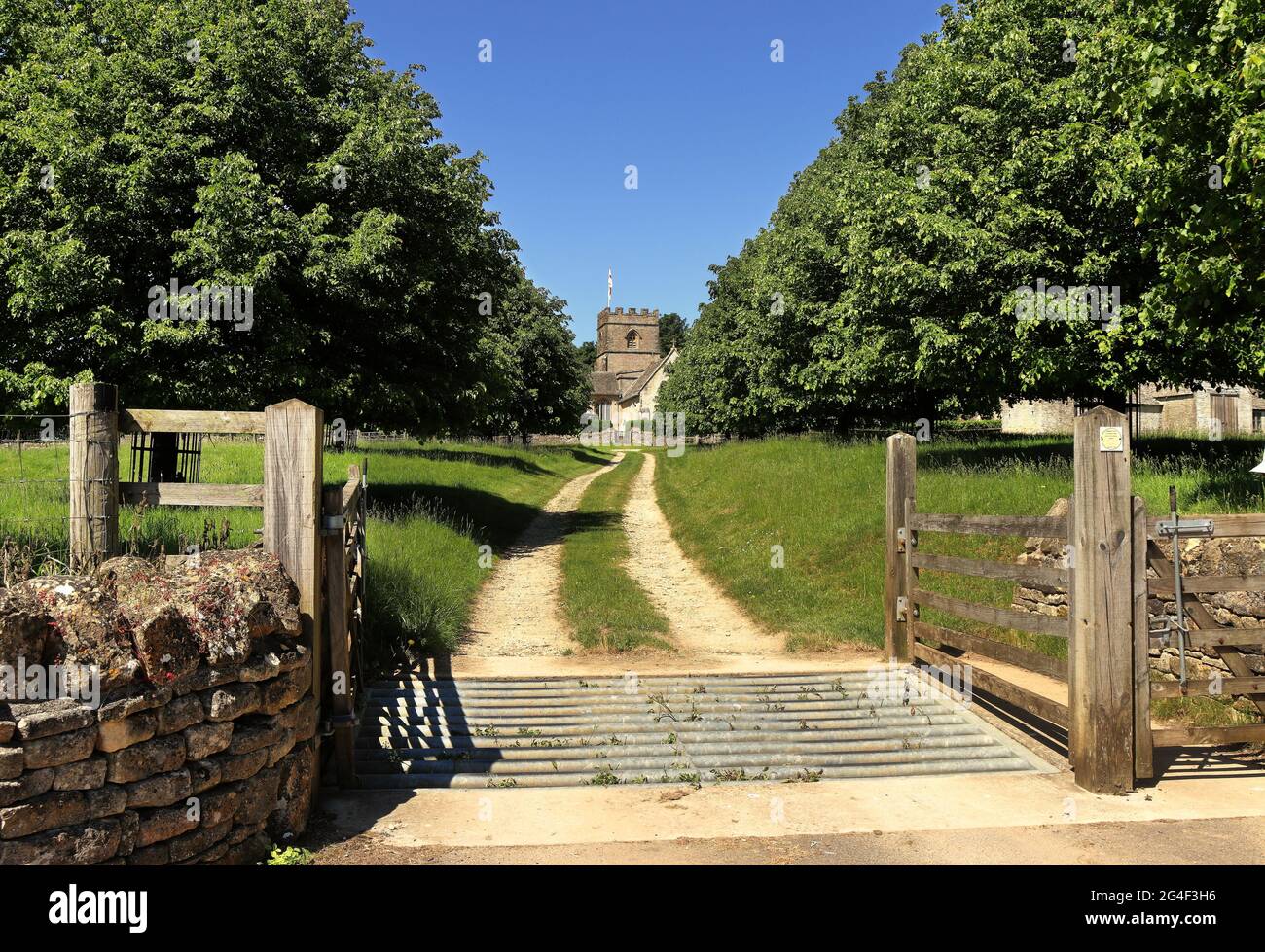 Strecke zwischen einer Allee von Bäumen, die zu einer englischen Dorfkirche in den Cotswold Hills in Gloucestershire führt Stockfoto