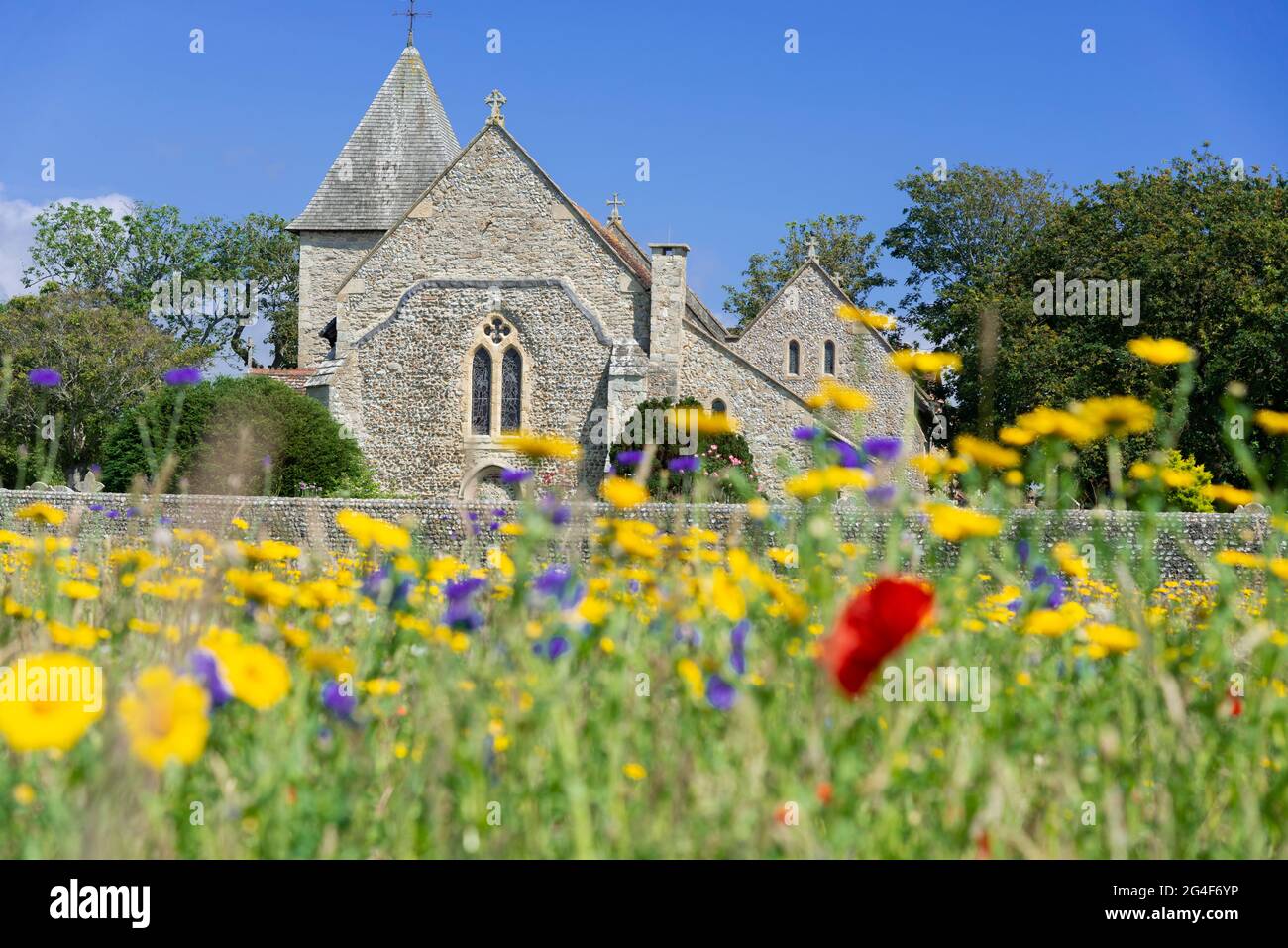 Blühende Wildblumenwiese auf einem Feld neben der örtlichen Pfarrkirche St. Peter und St. Paul, West Wittering, Chichester, West Sussex, England Stockfoto