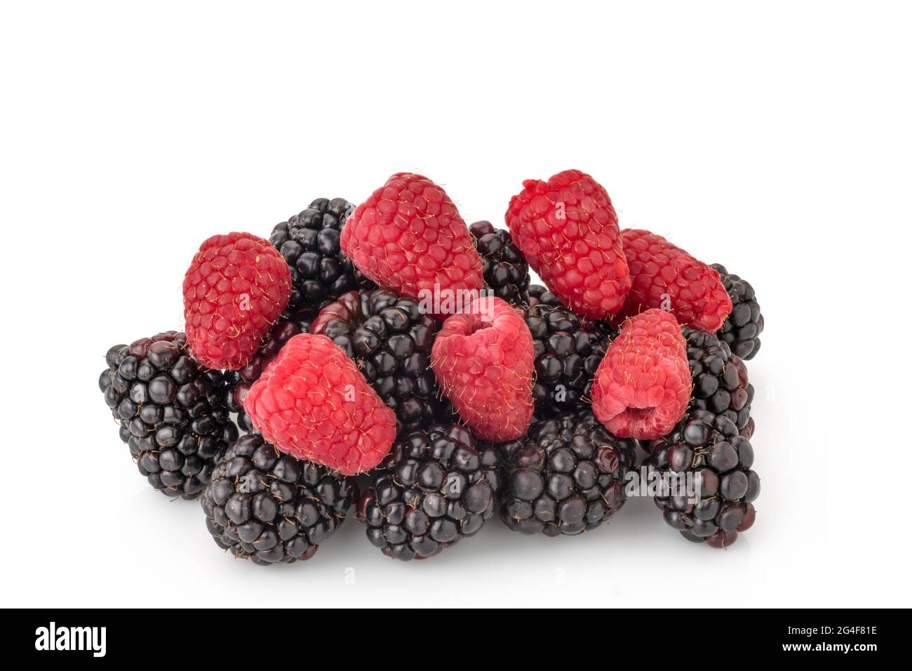 Brombeeren mit roten Himbeeren isoliert auf weiß. Zur grafischen Gestaltung von Etiketten und Grußkarten Stockfoto