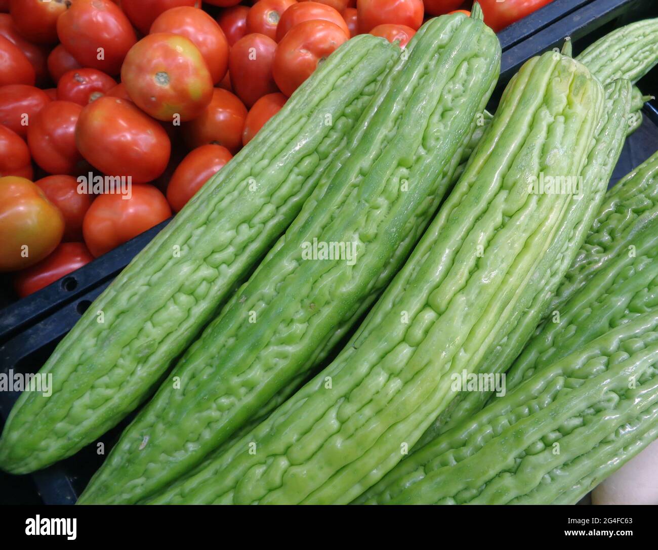 Haufen leuchtender grüner Bitter Gurke oder Balsambirne mit einem Korb mit Tomaten im Hintergrund Stockfoto