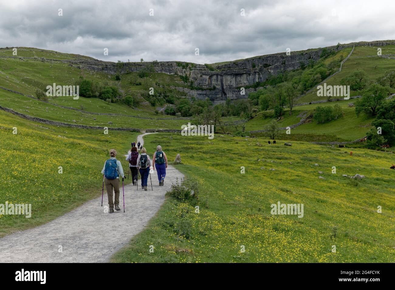 Eine Gruppe von Wandererinnen macht sich auf dem Weg zum malerischen Juwel Malham Cove im Yorkshire Dales National Park auf den Weg Stockfoto