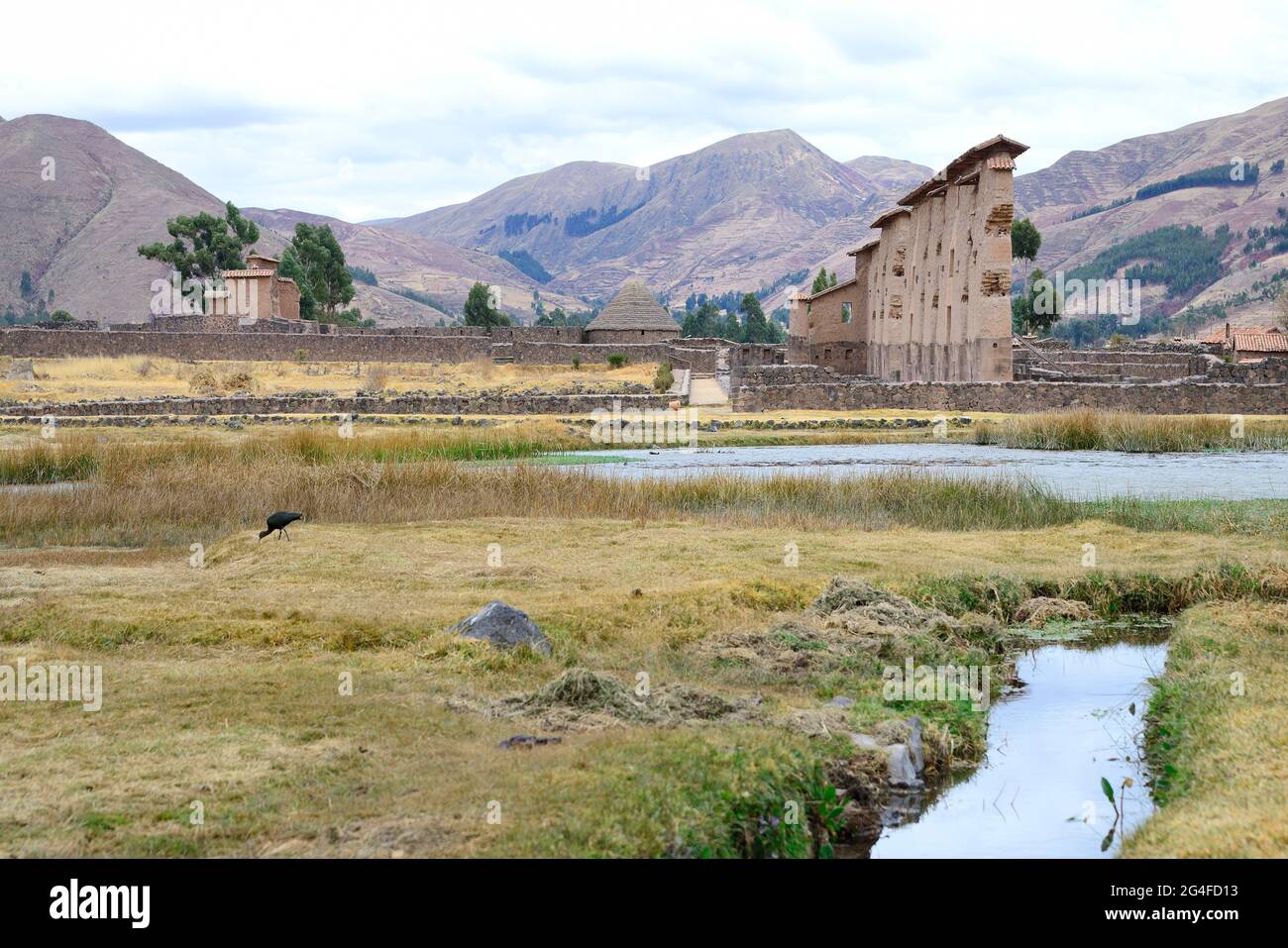 Tempel Wiracocha in Raqchi, Inka-Ruinen, Provinz Canchis, Peru Stockfoto