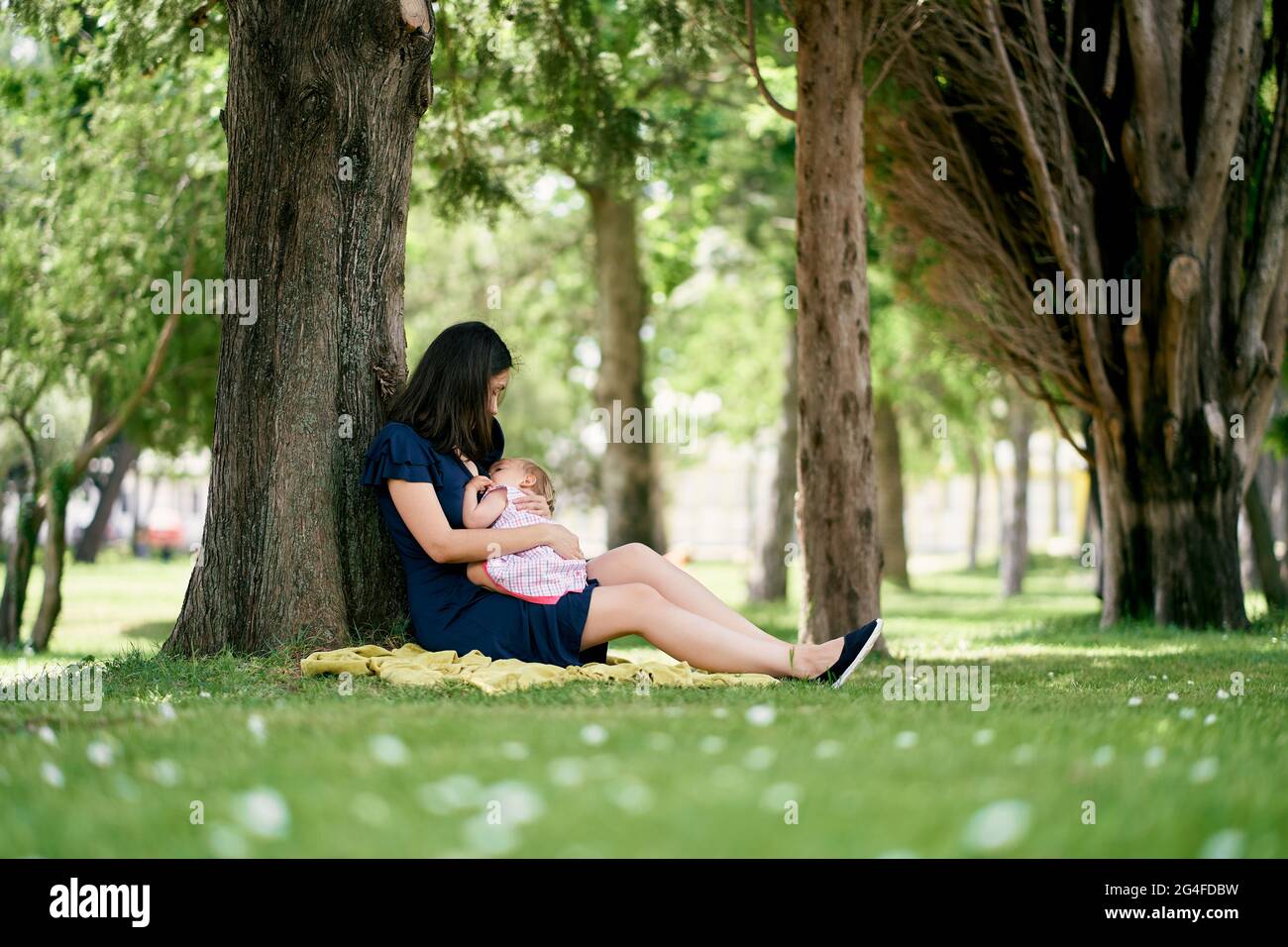 Mama umarmt ein kleines Mädchen auf den Knien, während sie in der Nähe eines Baumes auf dem Rasen sitzt Stockfoto