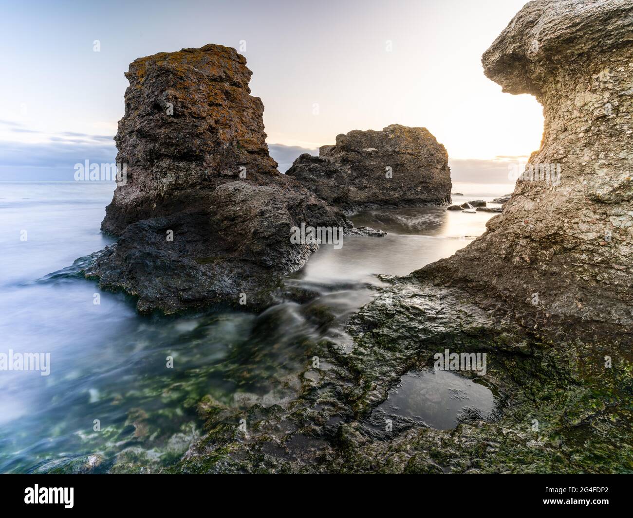 Holmhaellar Naturreservat, Gotland, Schweden Stockfoto