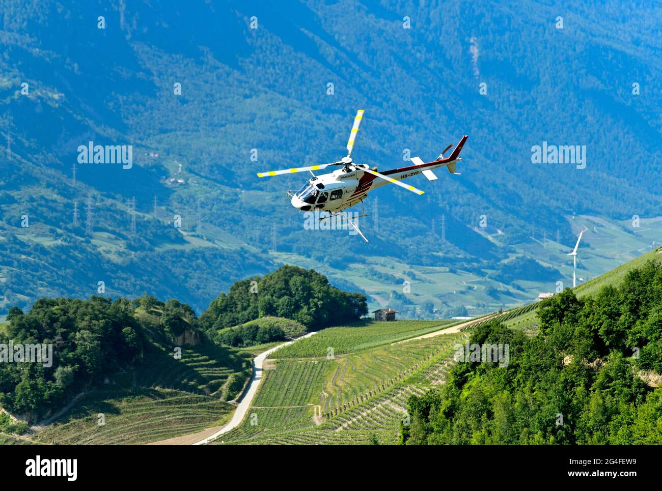 Der Helikopter Eurocopter AS350 B2 Ecureuil von Air-Glaciers SA sprüht Pestizide auf den Weinbergen im Weinanbaugebiet Leytron, Leytron, Wallis Stockfoto