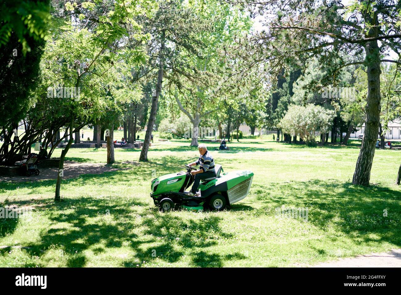 Der Mensch fährt einen Rasenmäher unter die Bäume im Park Stockfoto