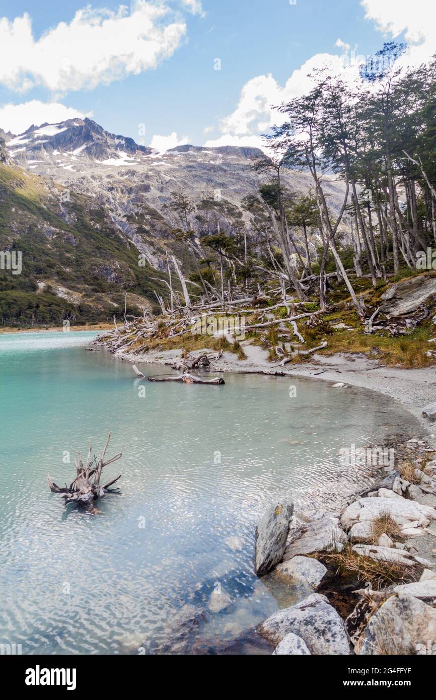 Blick auf die Laguna Esmerlanda (Smaragdsee) auf der Insel Feuerland, Argentinien Stockfoto