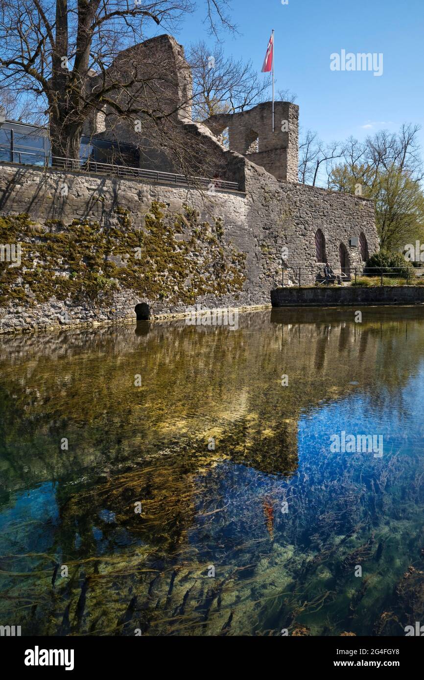 Lippequelle mit Burgruine, Bad Lippspringe, Ostwestfalen-Lippe, Nordrhein-Westfalen, Deutschland Stockfoto