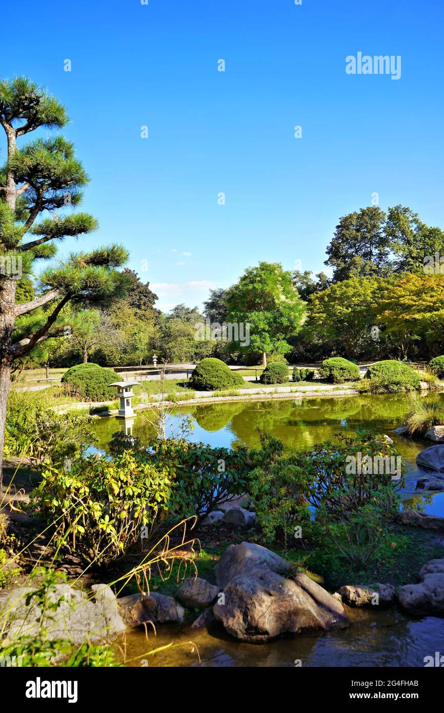 Der schöne Japanische Garten im Nordpark in Düsseldorf mit japanischen Bäumen und Steinlaternen. Stockfoto