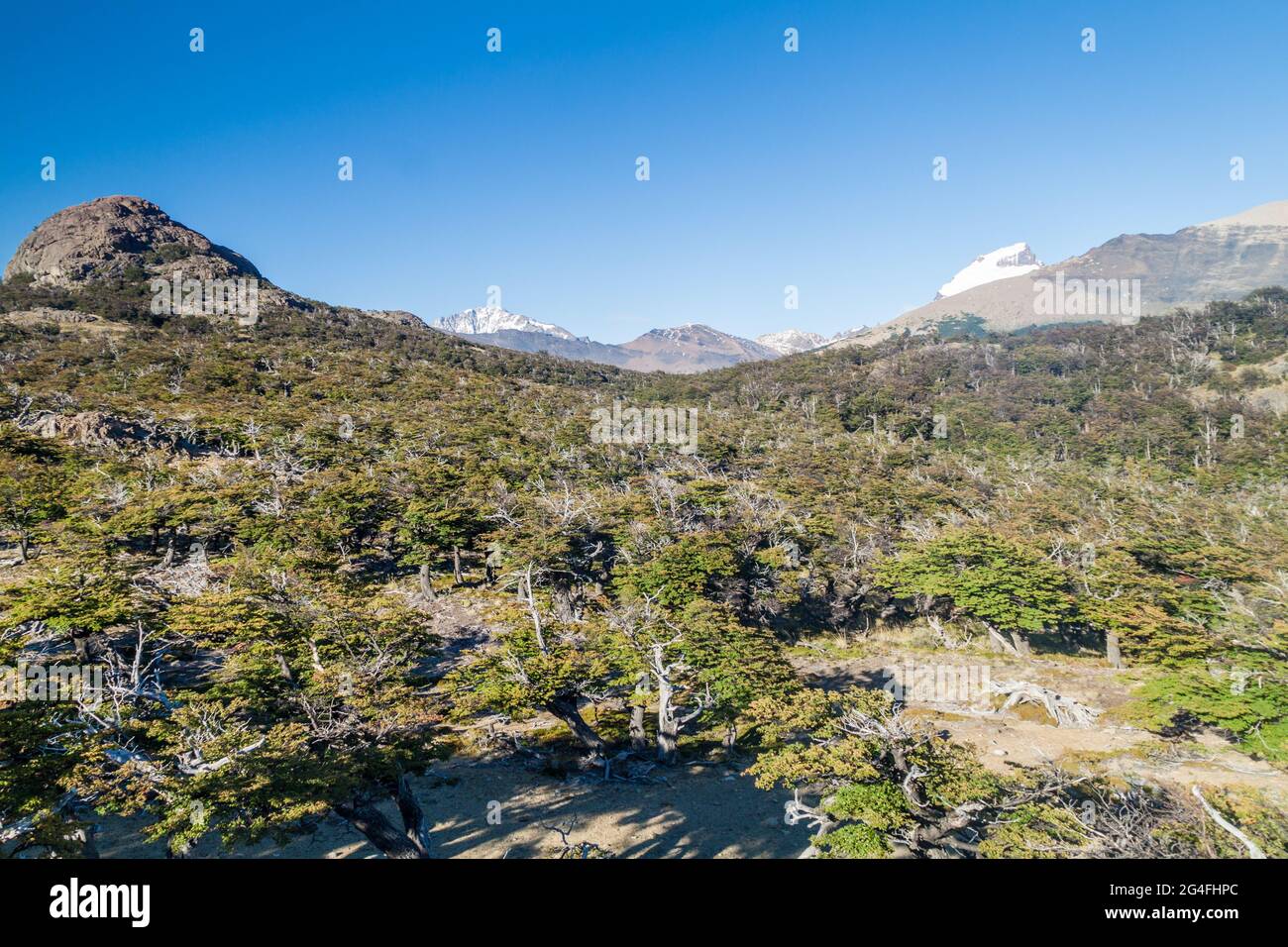 Landschaft des Nationalparks Los Glaciares, Patagonien, Argentinien Stockfoto