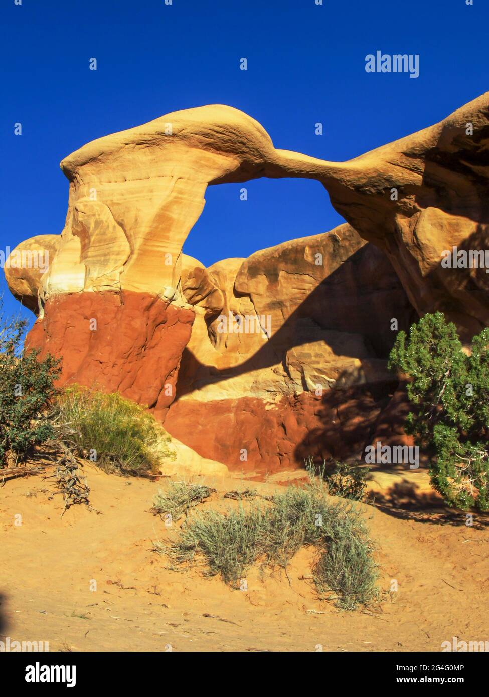 Metate Arch, ein dünner, feiner Steinbogen im Devils Garden, Escalante, Utah, USA, in den lebendigen Farben des späten Nachmittagslichts Stockfoto