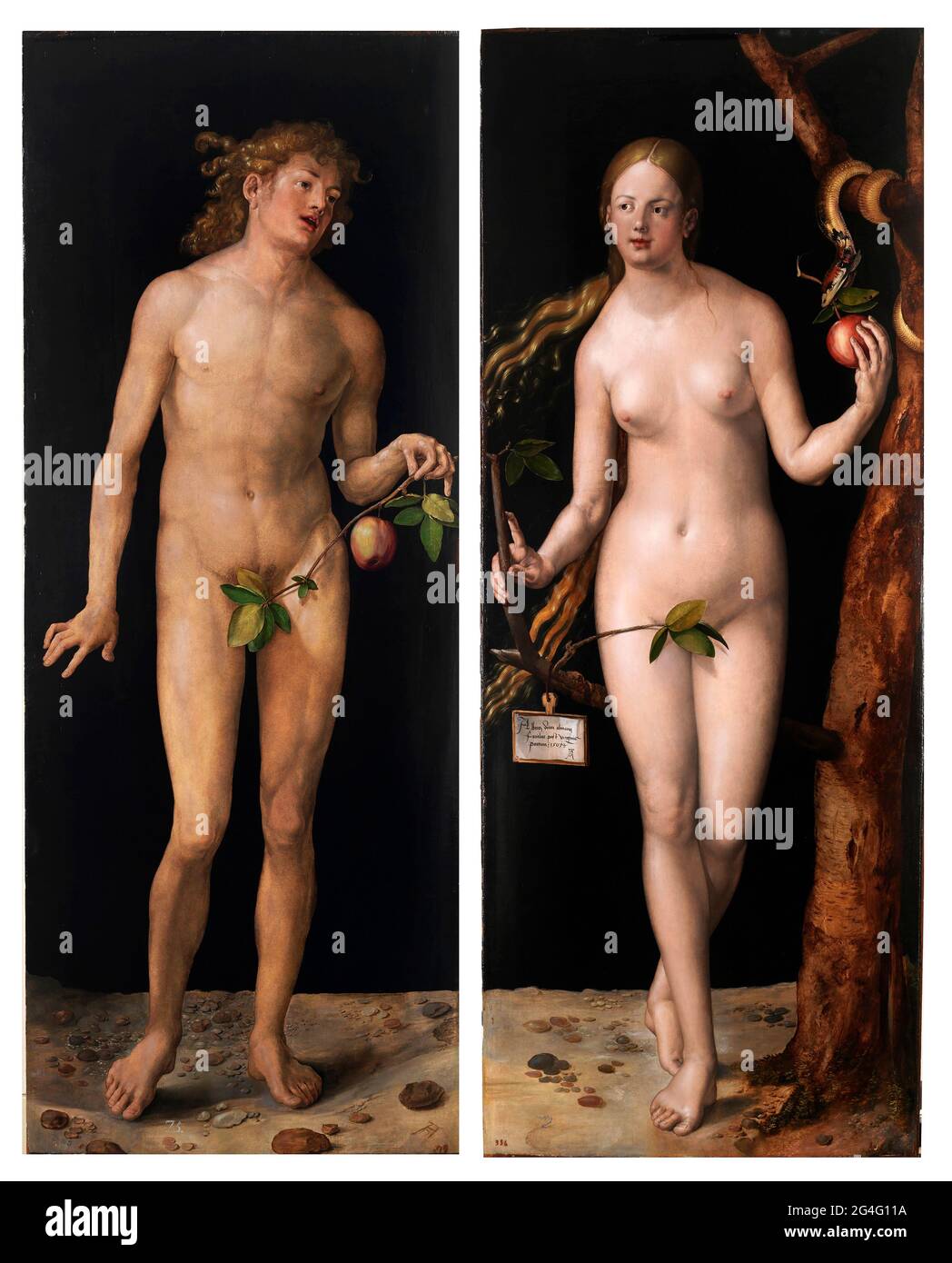 Albrecht Dürer (1471-1528), Adam und Eva, Öl auf Tafel, 1507 Stockfoto