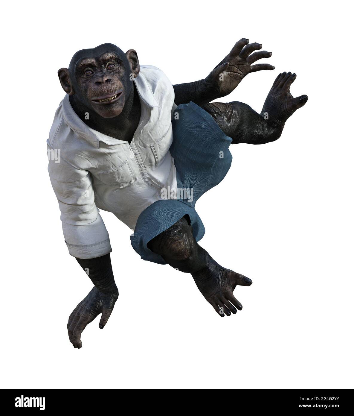 3d-Illustration eines Schimpansen mit weißem Hemd und blauen jean-Shorts, die isoliert auf weißem Hintergrund springen Stockfoto