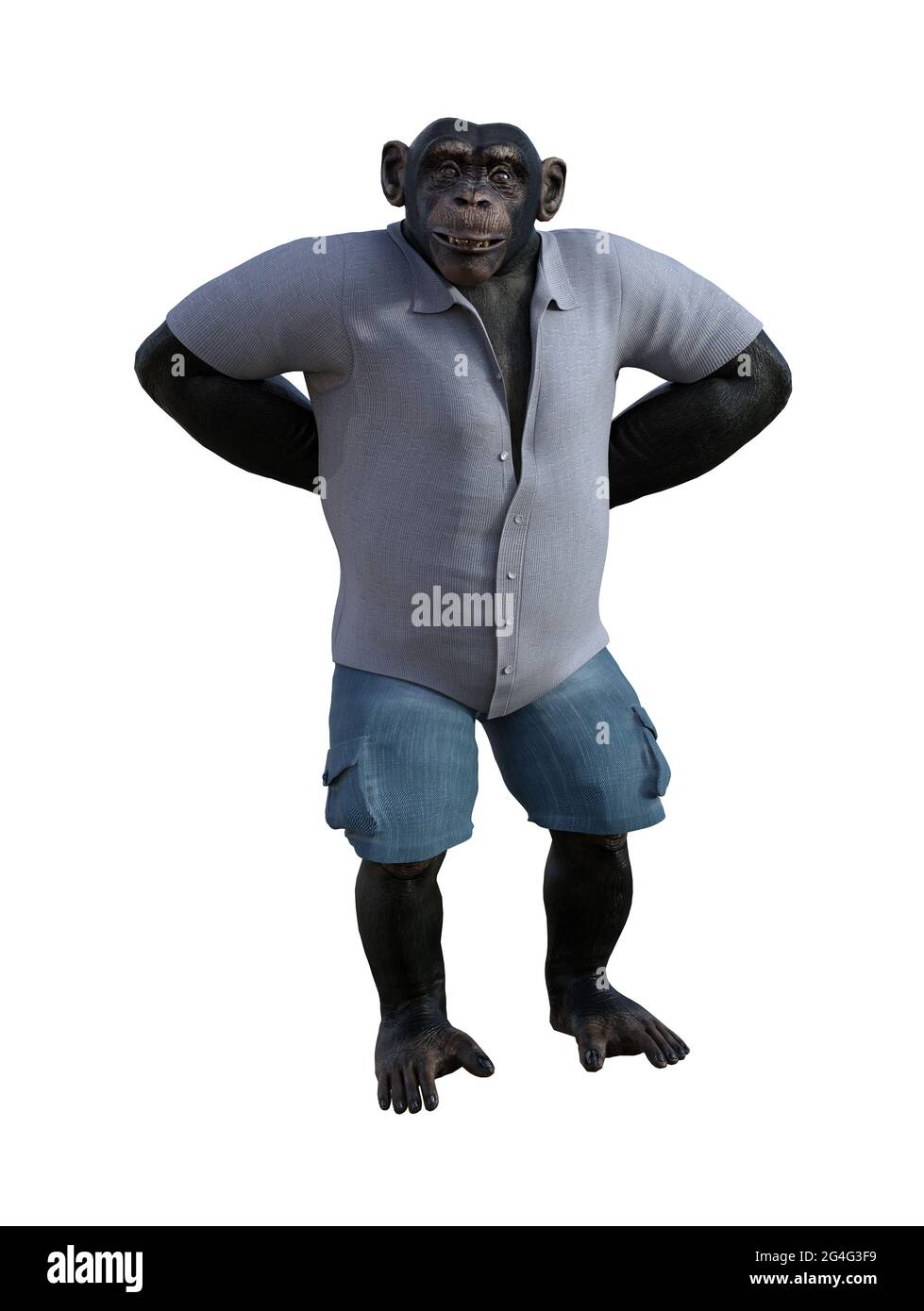 3d-Illustration eines Schimpansen, der in Shorts und einem Hemd mit beiden Händen hinter seinem Rücken steht, mit einem Lächeln auf seinem Gesicht isoliert auf einem weißen Rücken Stockfoto