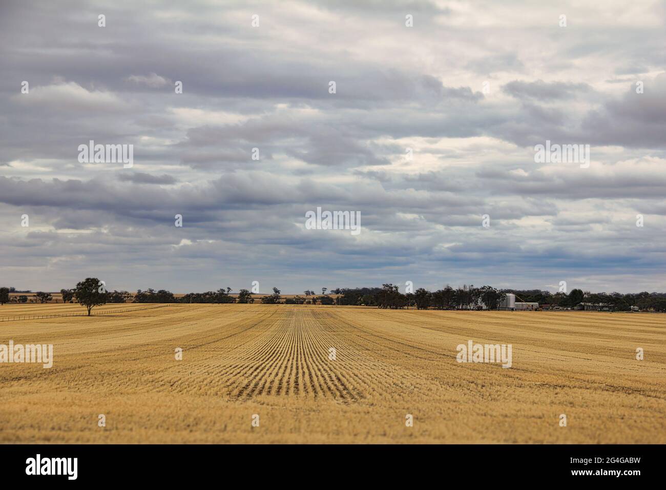 Blick auf Ackerland am Dukes Highway in der ländlichen Gegend von Victoria, Australien Stockfoto